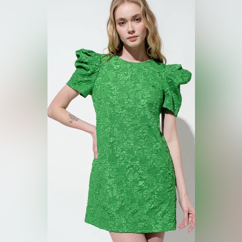 Ces Femme Textured Green Puff Sleeve Dress – Medium